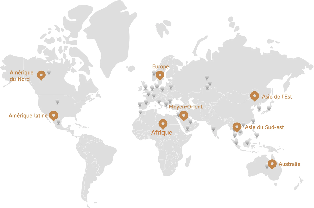 Présence internationale de Dreame
