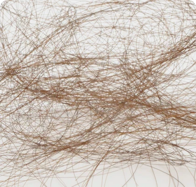 Poils et cheveux