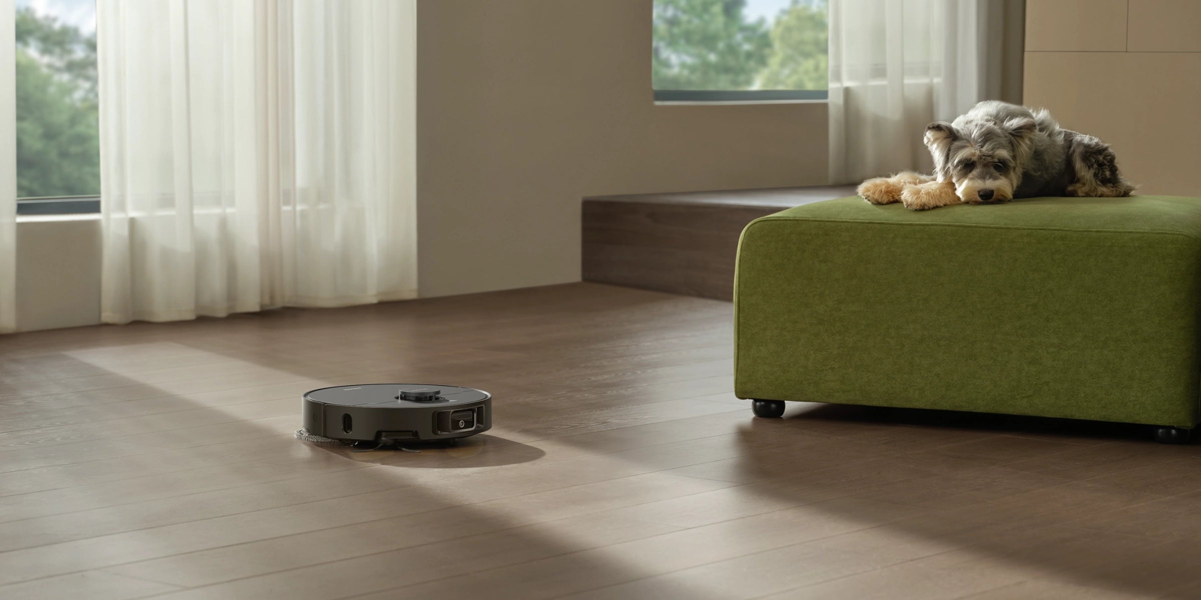 Un nettoyage plus silencieux pour des animaux plus heureux